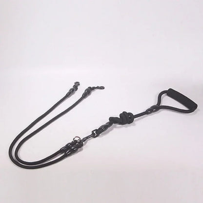 Dog Leash Walk Multi Pets Together