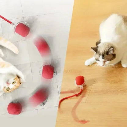 Cat or Dog Interactive Rolling Ball With Tail, Rechargeable