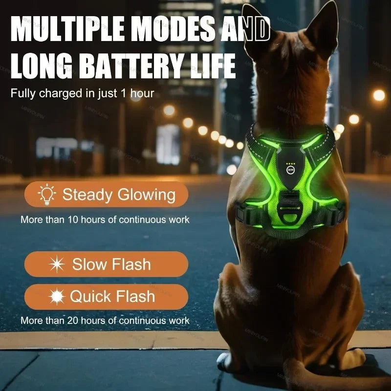 LED Luminous Dog Harness, No Pull, Adjustable, Rechargeable