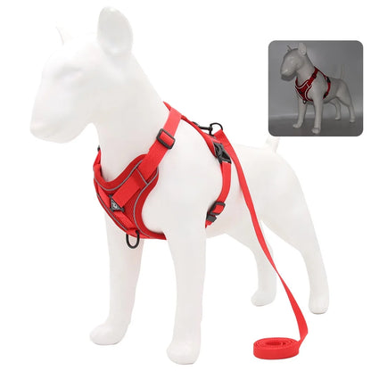 Harness Vest and Leash Set Small Dogs