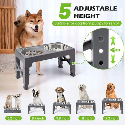 2 Stainless Steel Dog Bowls, Raised, Adjustable Heights, Stand