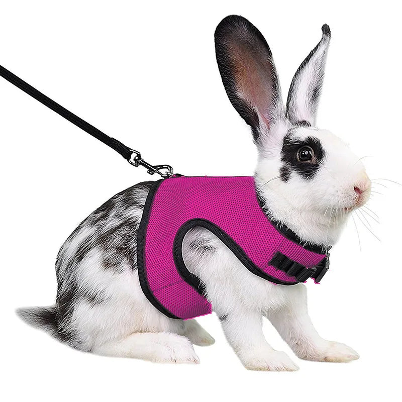 Pet Harness and Leash, Breathable Mesh, Rabbit