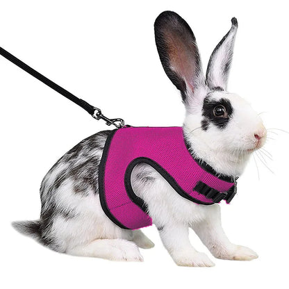 Pet Harness and Leash, Breathable Mesh, Rabbit