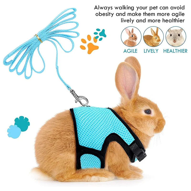 Pet Harness and Leash, Breathable Mesh, Rabbit