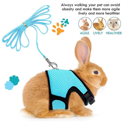 Pet Harness and Leash, Breathable Mesh, Rabbit