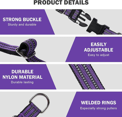 Reflective, Adjustable Dog Collar, Quick Release Buckle