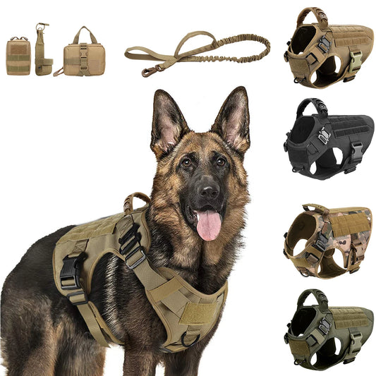 Dog Harness Leash Set Training Walking Vest
