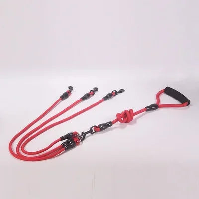 Dog Leash Walk Multi Pets Together
