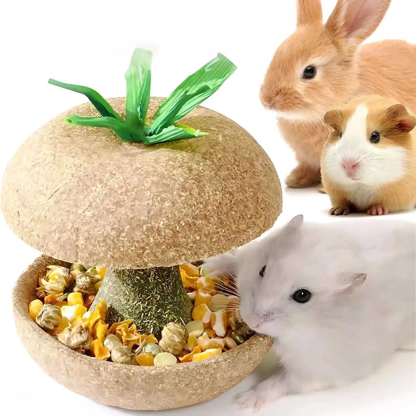 Apple Core Shaped Hamster Chew Toy and Treat Holder