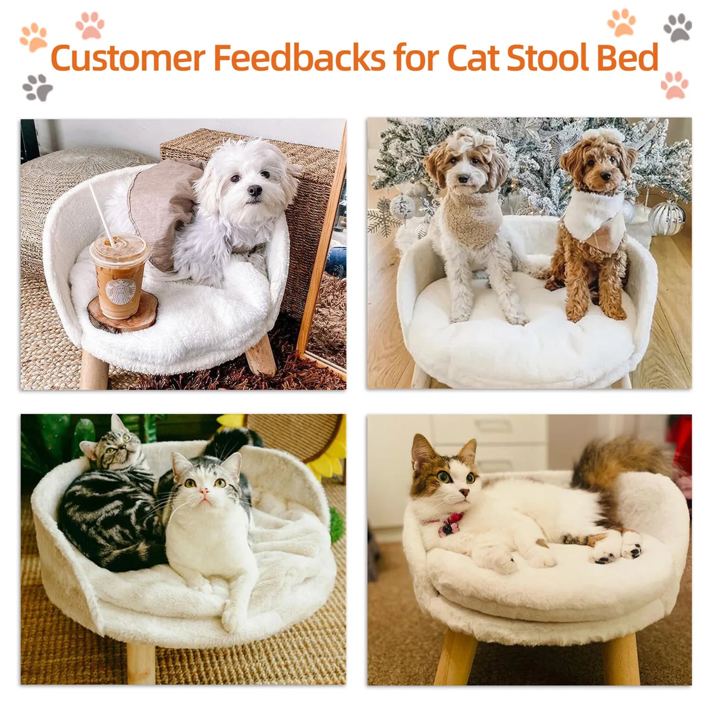 Pet Sofa Bed Raised, Removable Cushion
