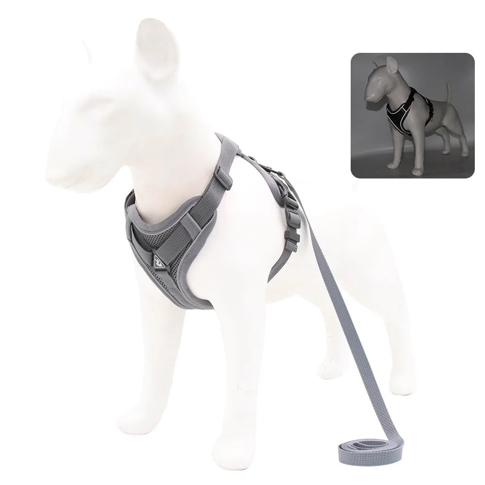 Harness Vest and Leash Set Small Dogs