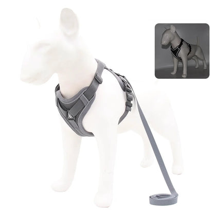 Harness Vest and Leash Set Small Dogs