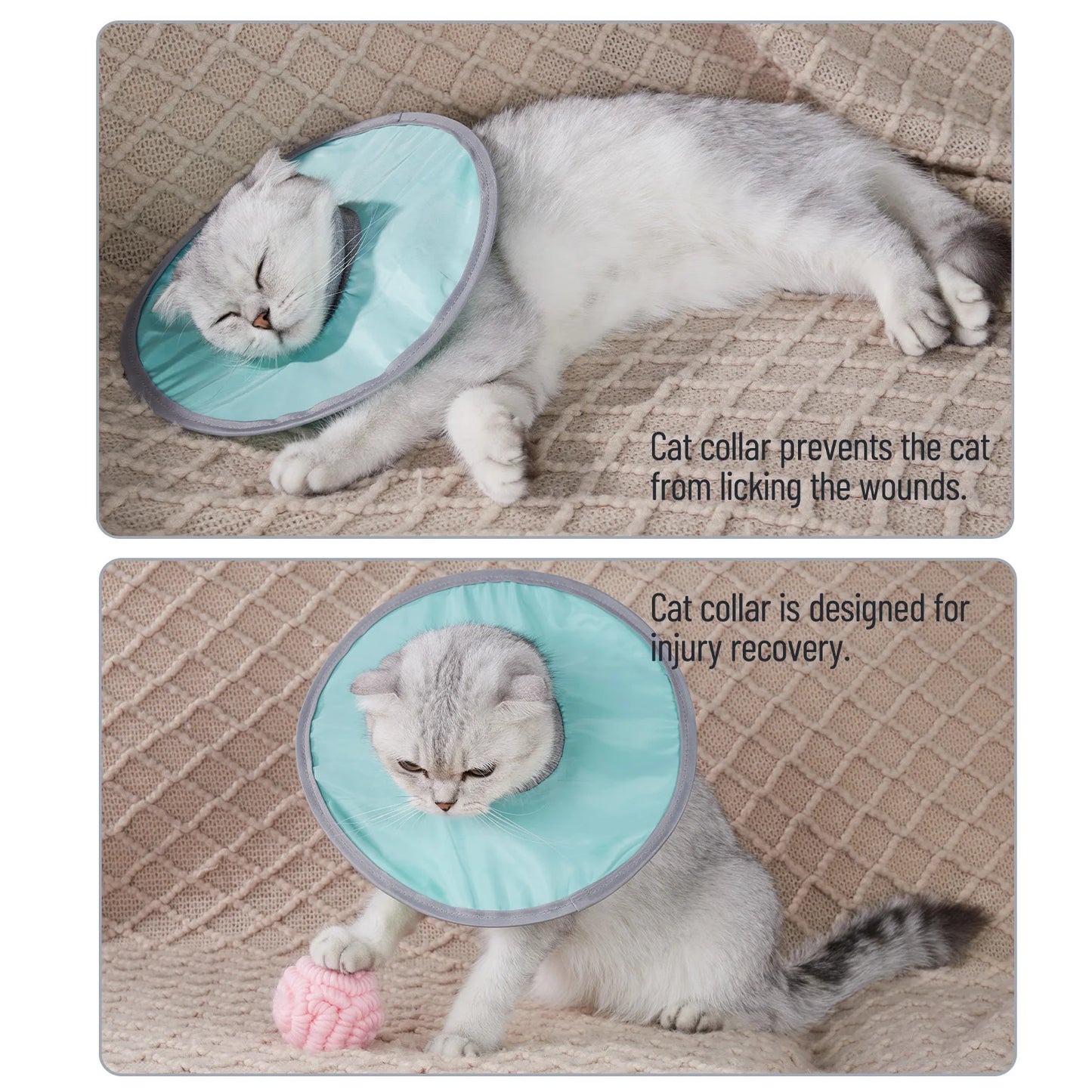 Pet Cat Protective Recovery, Anti-Licking Collar