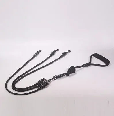 Dog Leash Walk Multi Pets Together