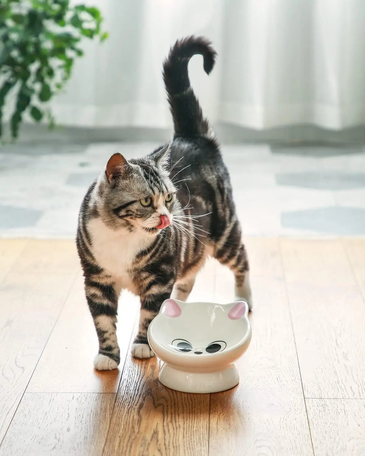 Tilted Ceramic Cat Bowl, Raised Base