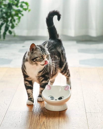Tilted Ceramic Cat Bowl, Raised Base