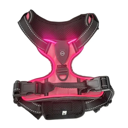 LED Luminous Dog Harness, No Pull, Adjustable, Rechargeable