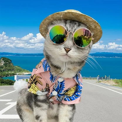 Pet Hawaiian summer set (shirt, hat, sunglasses)