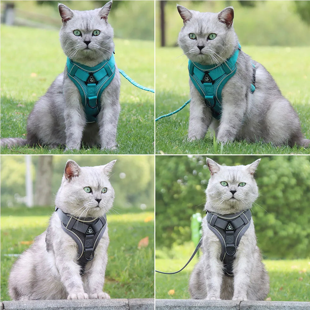 Harness Vest and Leash Set Small Dogs