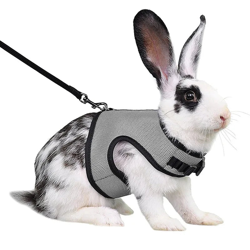Pet Harness and Leash, Breathable Mesh, Rabbit