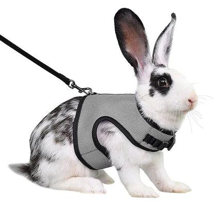 Pet Harness and Leash, Breathable Mesh, Rabbit