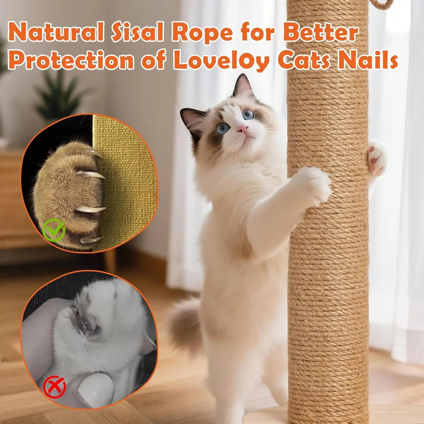 Cat Scratching Post,  2-Tier Ball Track, Teasing Feather Stick