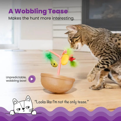 Cat Toy Fruit Bowl Interactive Jingle Balls