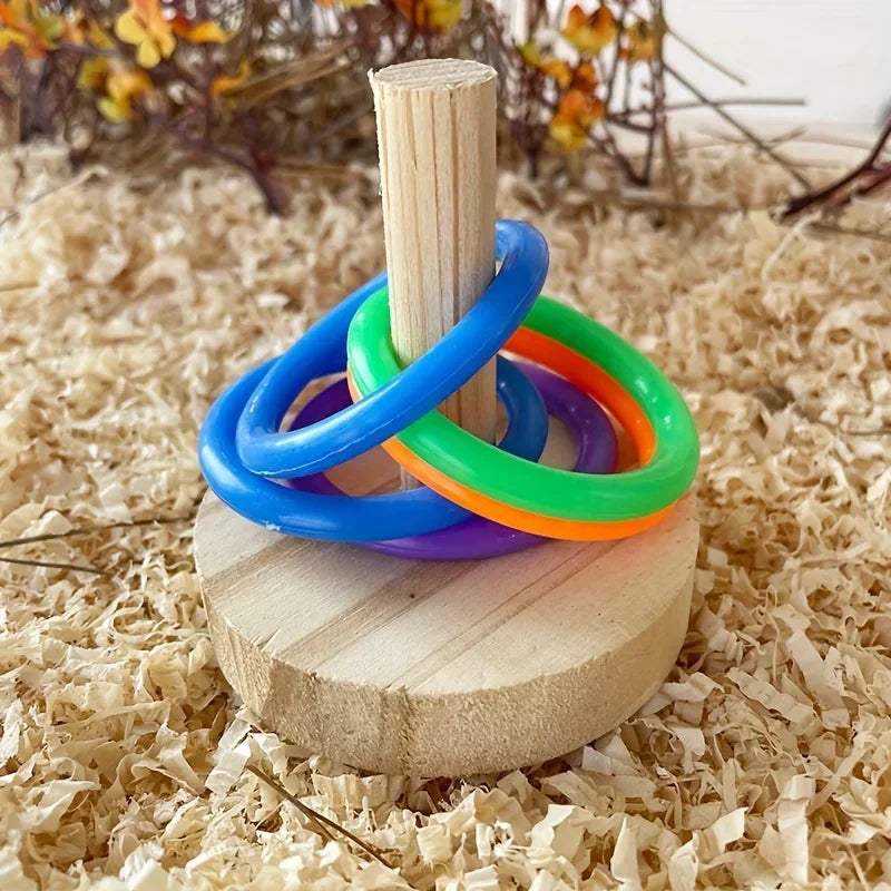 Wooden Interactive Parrot Ring, Stimulating Fun, Random Colors
