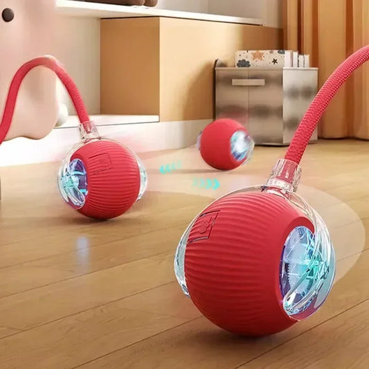 Cat or Dog Interactive Rolling Ball With Tail, Rechargeable