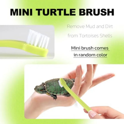 Turtle Shell and Tank Cleaning Brush Set,