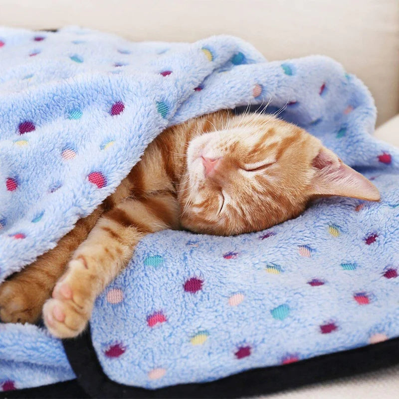 Cozy Pet Blanket Dot Pattern