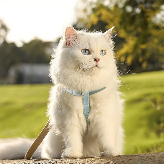 Pet Harness and Leash Set, Suitable For Small-Large Pets