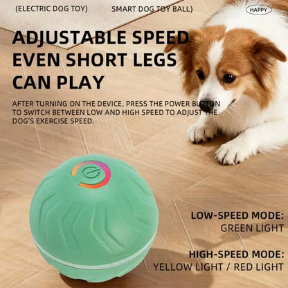 LED Light Smart Rolling Dog Ball Interactive Play Toy