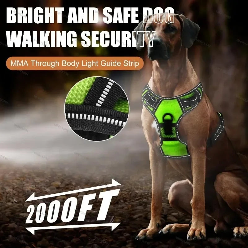 LED Luminous Dog Harness, No Pull, Adjustable, Rechargeable