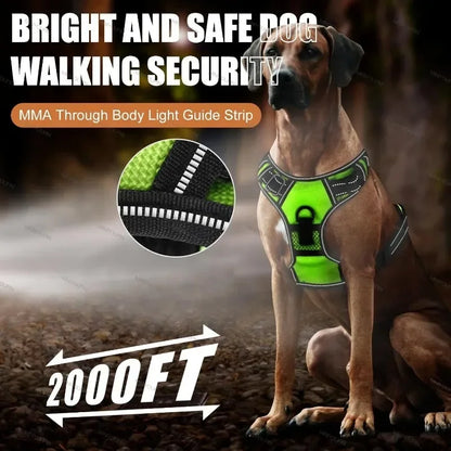 LED Luminous Dog Harness, No Pull, Adjustable, Rechargeable
