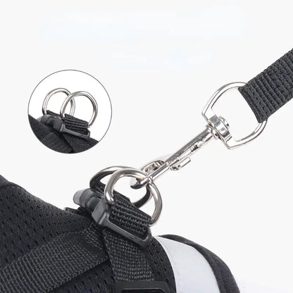 Undershirt Harness Leash Set Mesh, Breathable, Adjustable