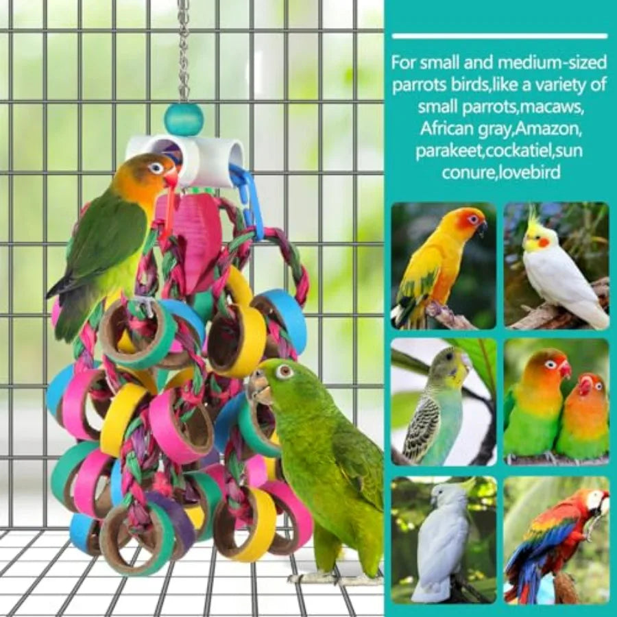 Bird Foraging, Shredde, Chew Rings