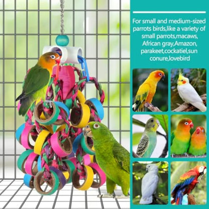 Bird Foraging, Shredde, Chew Rings