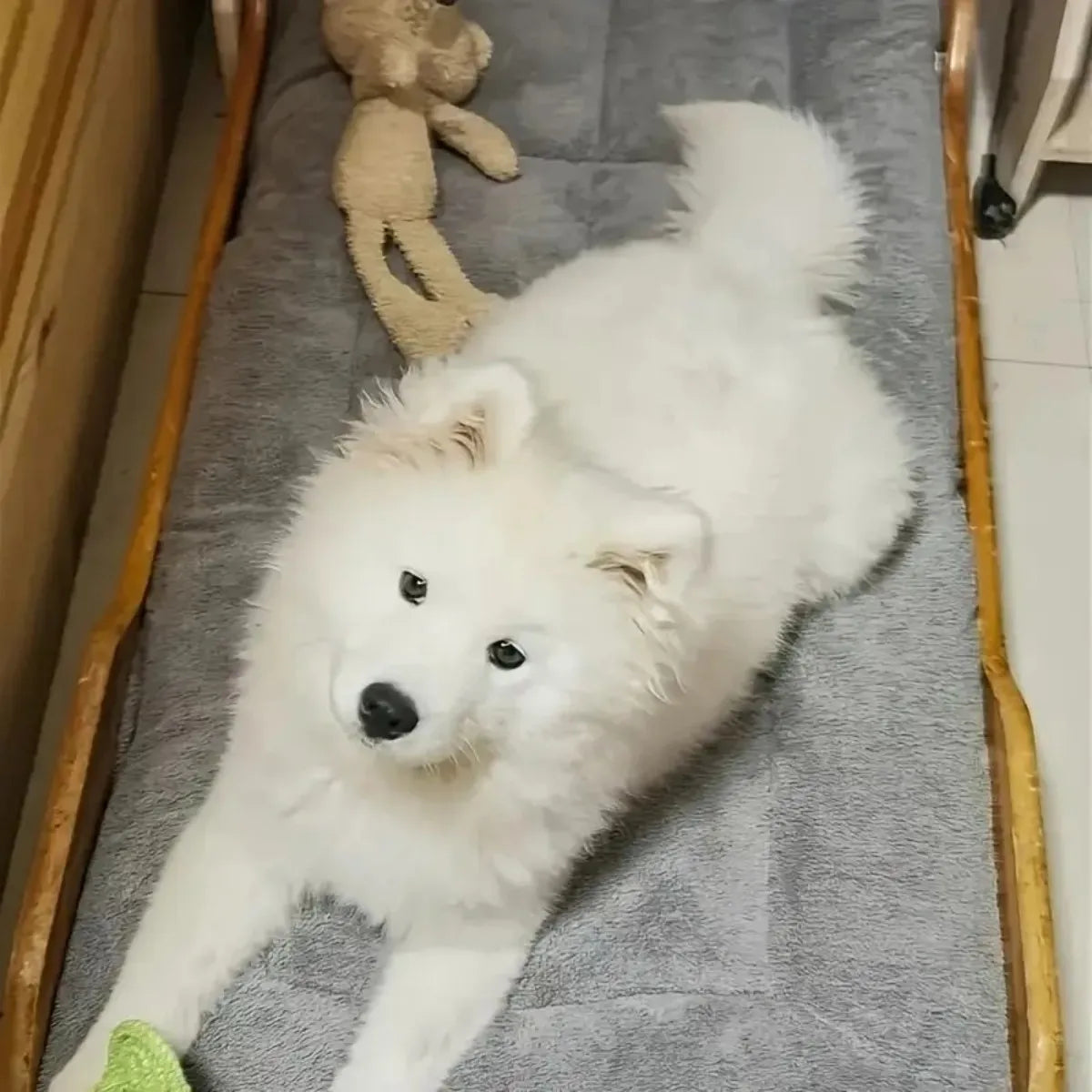 Plush Dog Bed, Waterproof, Washable, Anti-Slip