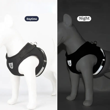 Undershirt Harness Leash Set Mesh, Breathable, Adjustable