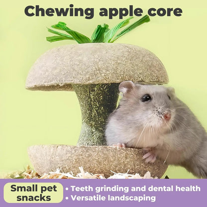 Apple Core Shaped Hamster Chew Toy and Treat Holder