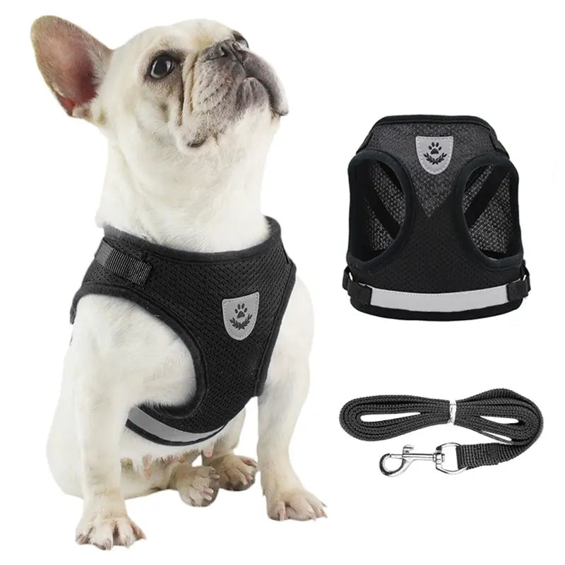 Undershirt Harness Leash Set Mesh, Breathable, Adjustable