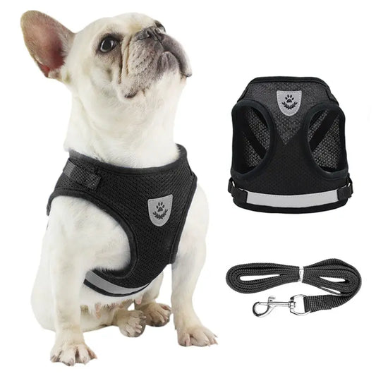 Undershirt Harness Leash Set Mesh, Breathable, Adjustable
