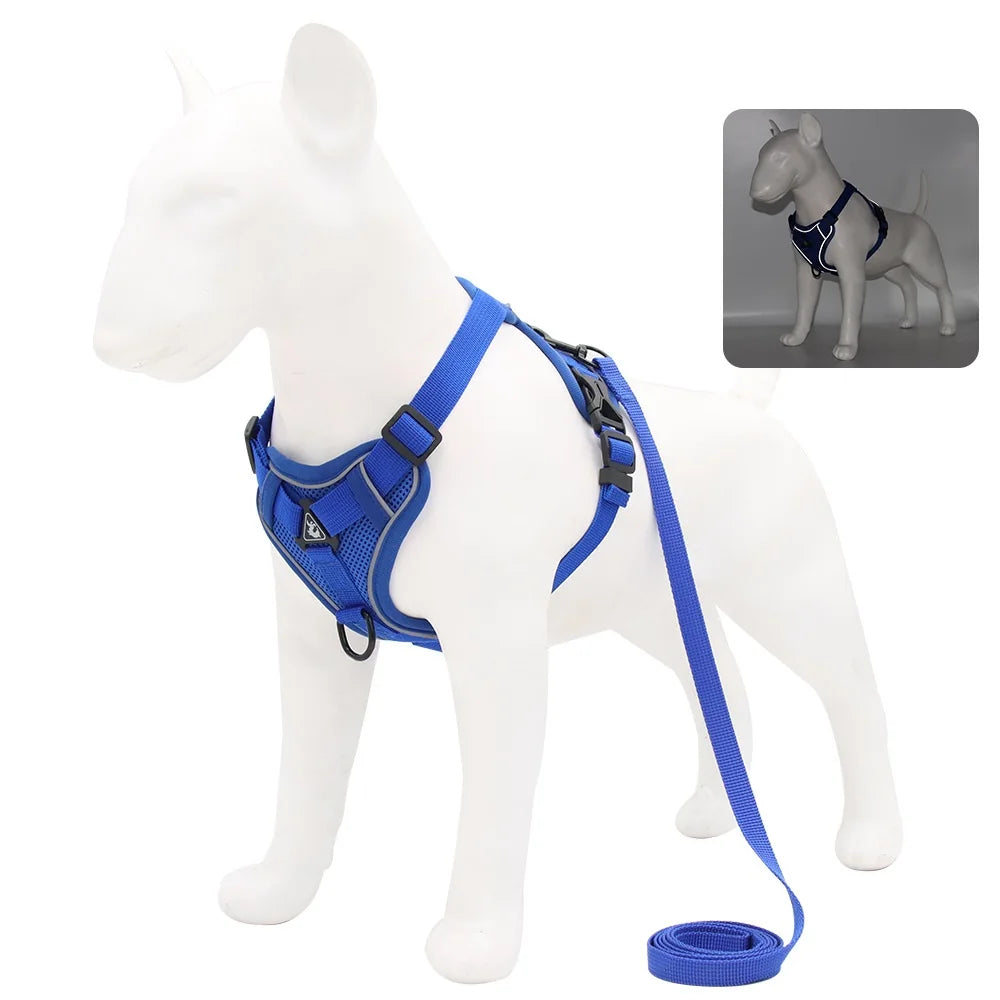Harness Vest and Leash Set Small Dogs