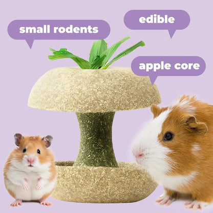 Apple Core Shaped Hamster Chew Toy and Treat Holder