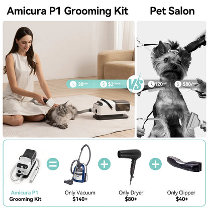 Vacuum Cleaner & Hair Dryer, Pet Grooming Tool Set