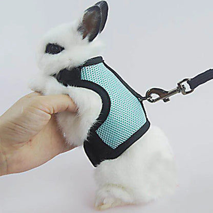 Pet Harness and Leash, Breathable Mesh, Rabbit