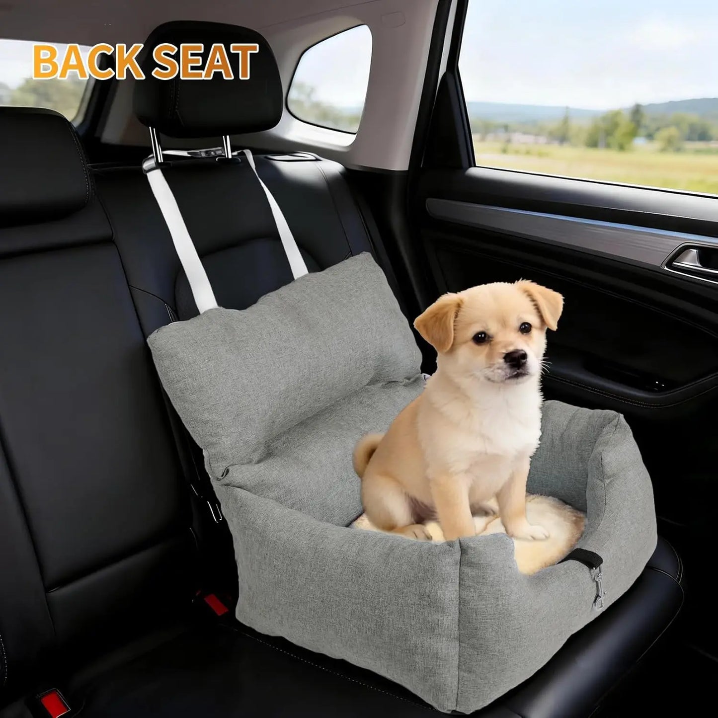Dog Booster Car Seat Bed for Small Dogs, Tether & Reversible Cushion