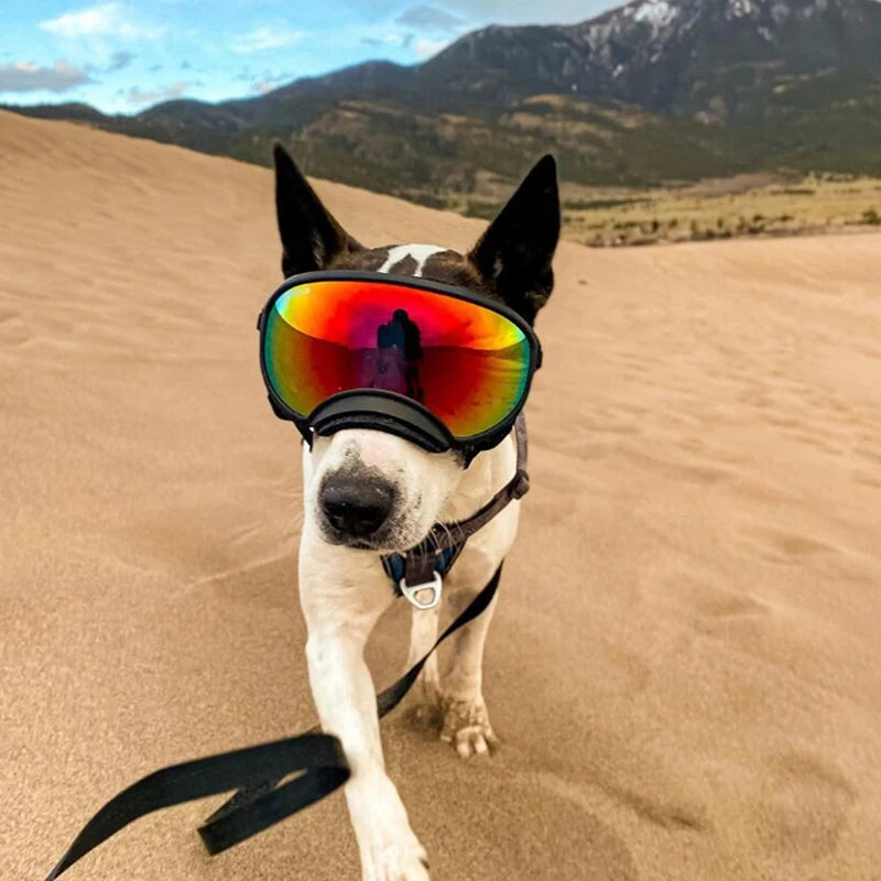 Dog Goggles Anti-UV Sun Eyewear Protection