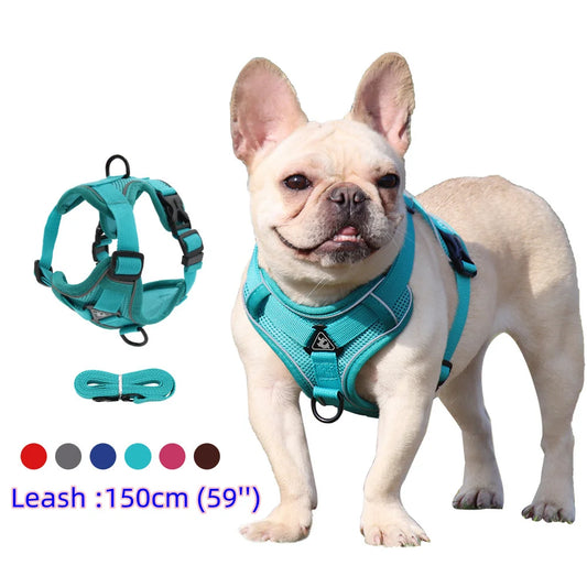 Harness Vest and Leash Set Small Dogs